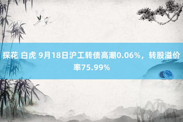 探花 白虎 9月18日沪工转债高潮0.06%，转股溢价率75.99%