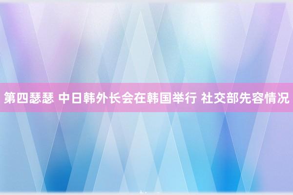 第四瑟瑟 中日韩外长会在韩国举行 社交部先容情况