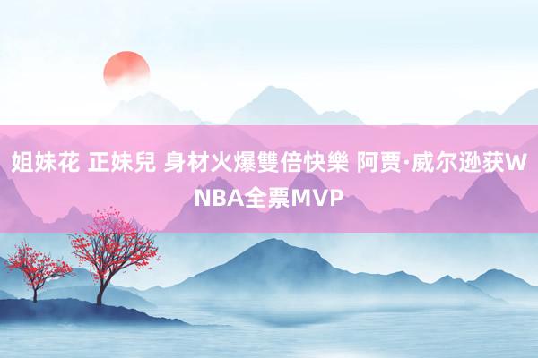 姐妹花 正妹兒 身材火爆雙倍快樂 阿贾·威尔逊获WNBA全票MVP