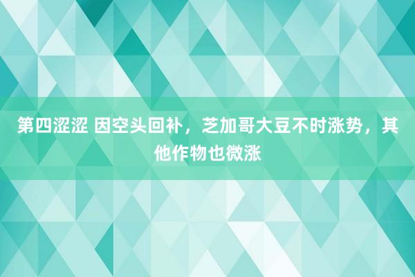 第四涩涩 因空头回补，芝加哥大豆不时涨势，其他作物也微涨