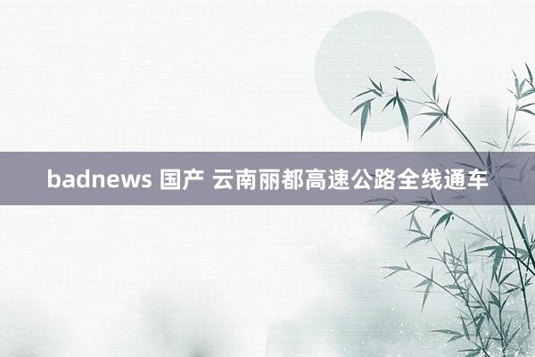 badnews 国产 云南丽都高速公路全线通车