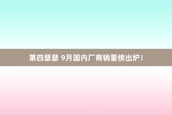 第四瑟瑟 9月国内厂商销量榜出炉！