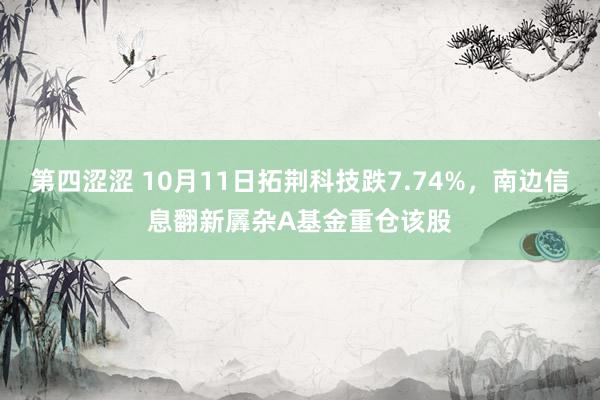 第四涩涩 10月11日拓荆科技跌7.74%，南边信息翻新羼杂A基金重仓该股