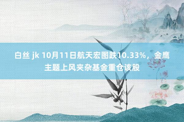 白丝 jk 10月11日航天宏图跌10.33%，金鹰主题上风夹杂基金重仓该股