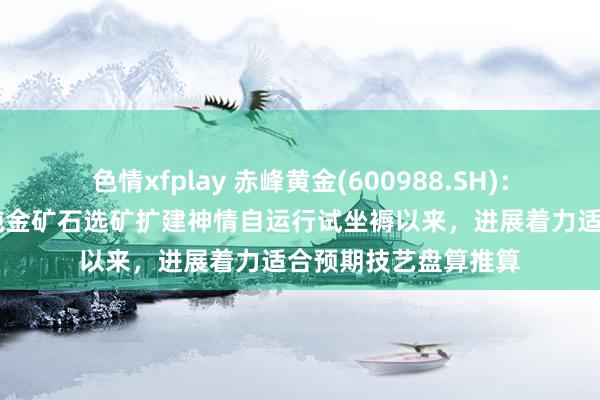 色情xfplay 赤峰黄金(600988.SH)：吉隆矿业新增18万吨金矿石选矿扩建神情自运行试坐褥以来，进展着力适合预期技艺盘算推算