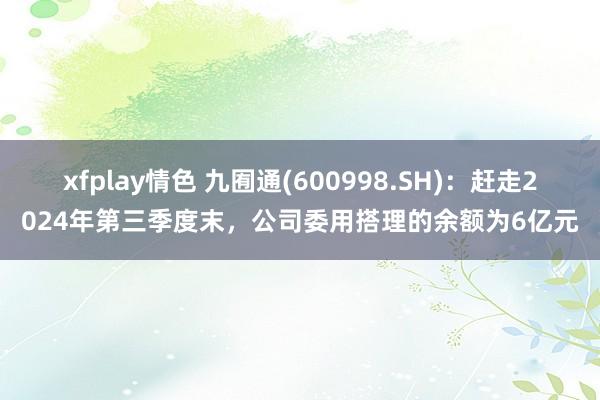 xfplay情色 九囿通(600998.SH)：赶走2024年第三季度末，公司委用搭理的余额为6亿元