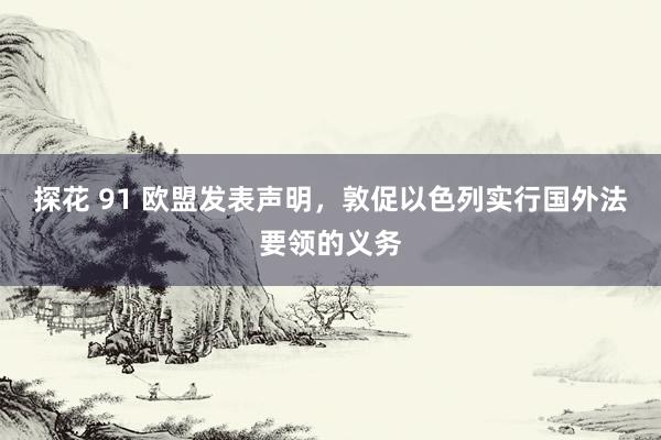 探花 91 欧盟发表声明，敦促以色列实行国外法要领的义务