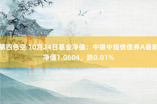 第四色空 10月24日基金净值：中银中短债债券A最新净值1.0604，跌0.01%