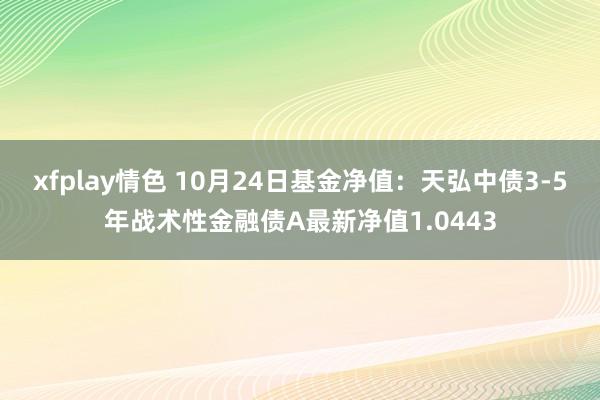 xfplay情色 10月24日基金净值：天弘中债3-5年战术性金融债A最新净值1.0443