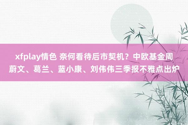 xfplay情色 奈何看待后市契机？中欧基金周蔚文、葛兰、蓝小康、刘伟伟三季报不雅点出炉