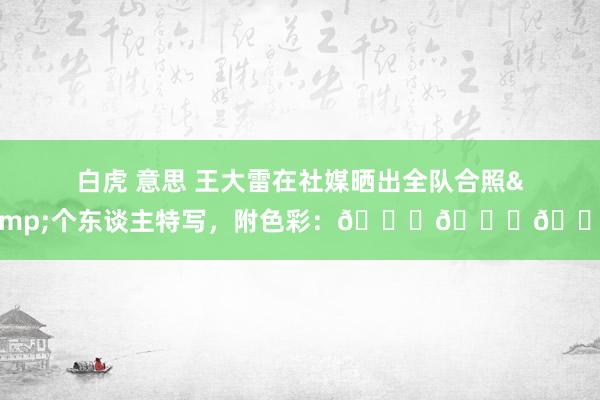 白虎 意思 王大雷在社媒晒出全队合照&个东谈主特写，附色彩：🙄🙄🙄