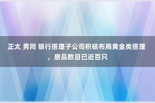 正太 男同 银行搭理子公司积极布局黄金类搭理 ，居品数目已近百只