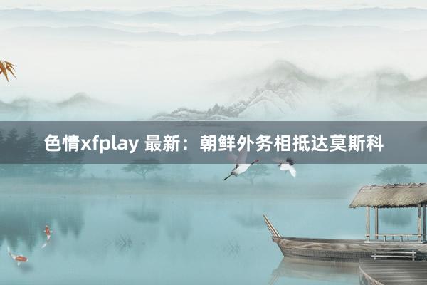 色情xfplay 最新：朝鲜外务相抵达莫斯科