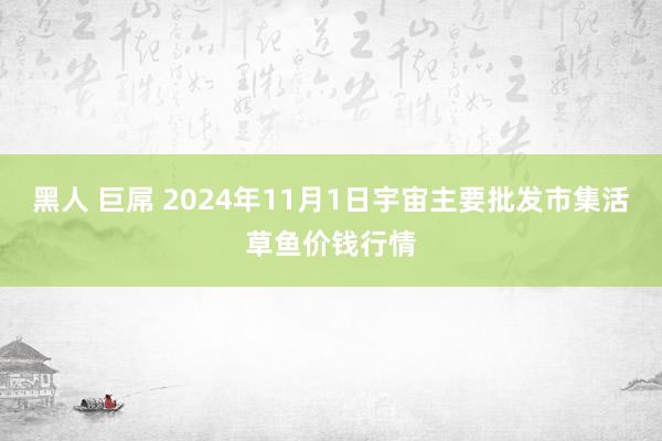 黑人 巨屌 2024年11月1日宇宙主要批发市集活草鱼价钱行情