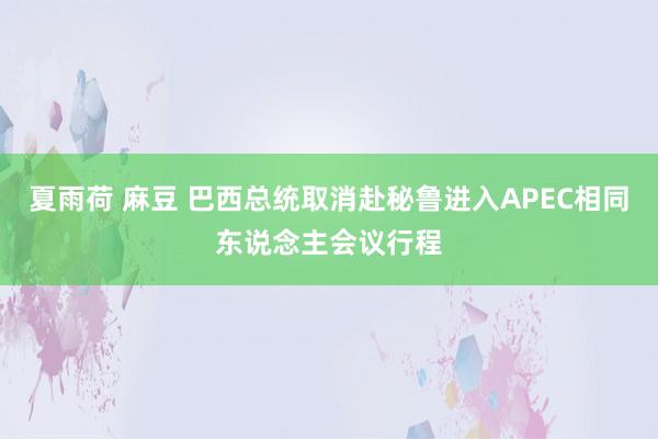 夏雨荷 麻豆 巴西总统取消赴秘鲁进入APEC相同东说念主会议行程