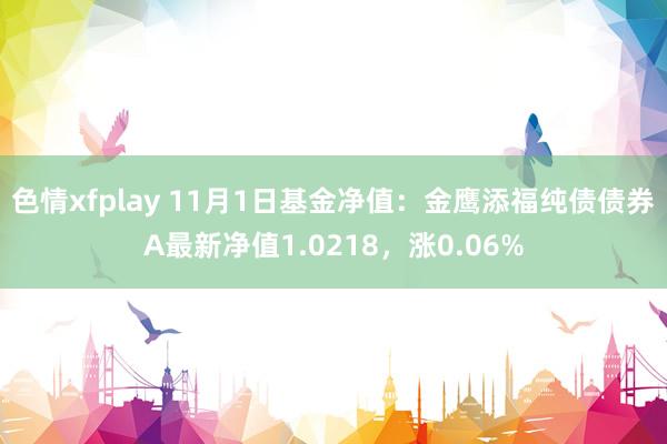 色情xfplay 11月1日基金净值：金鹰添福纯债债券A最新净值1.0218，涨0.06%