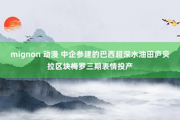 mignon 动漫 中企参建的巴西超深水油田庐贝拉区块梅罗三期表情投产