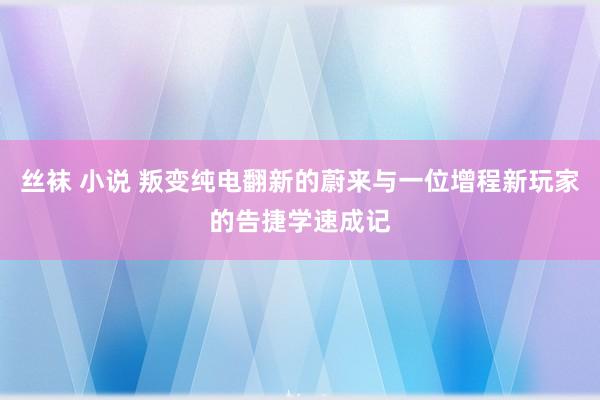 丝袜 小说 叛变纯电翻新的蔚来与一位增程新玩家的告捷学速成记