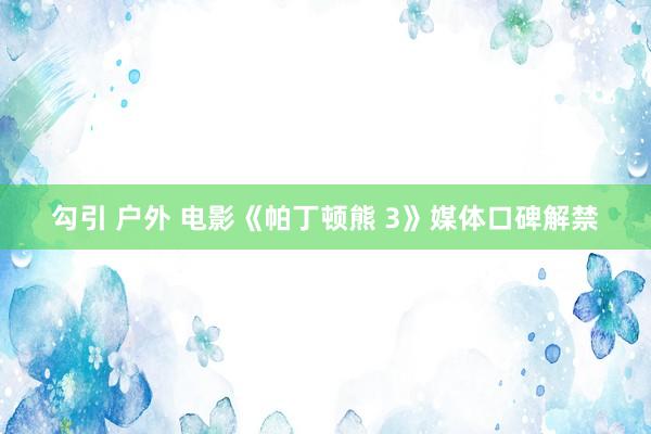 勾引 户外 电影《帕丁顿熊 3》媒体口碑解禁