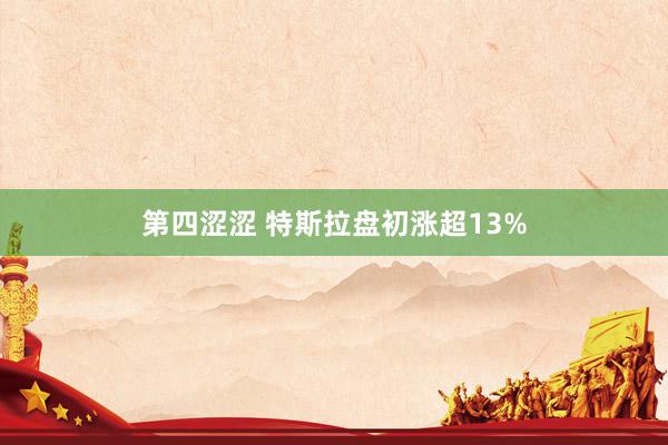 第四涩涩 特斯拉盘初涨超13%