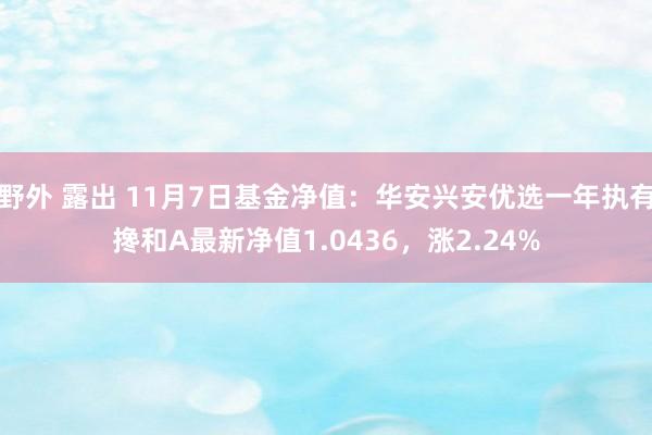 野外 露出 11月7日基金净值：华安兴安优选一年执有搀和A最新净值1.0436，涨2.24%