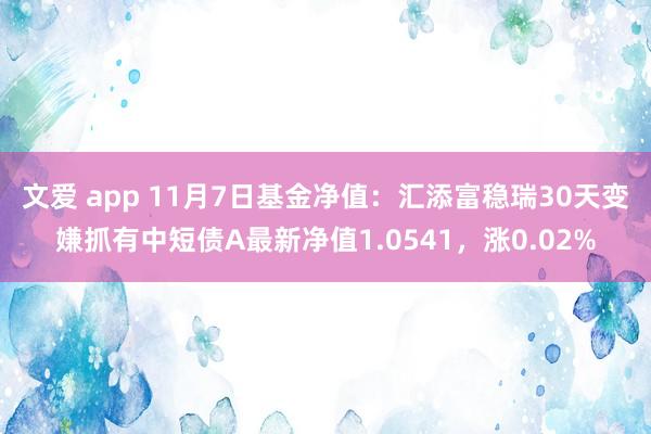 文爱 app 11月7日基金净值：汇添富稳瑞30天变嫌抓有中短债A最新净值1.0541，涨0.02%