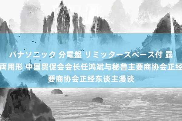 パナソニック 分電盤 リミッタースペース付 露出・半埋込両用形 中国贸促会会长任鸿斌与秘鲁主要商协会正经东谈主漫谈