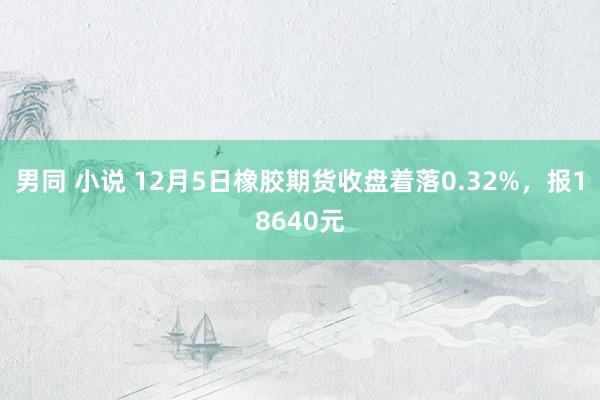 男同 小说 12月5日橡胶期货收盘着落0.32%，报18640元