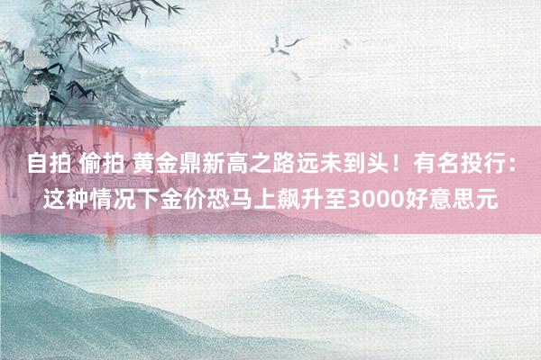 自拍 偷拍 黄金鼎新高之路远未到头！有名投行：这种情况下金价恐马上飙升至3000好意思元