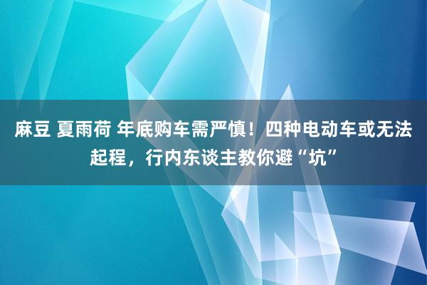 麻豆 夏雨荷 年底购车需严慎！四种电动车或无法起程，行内东谈主教你避“坑”