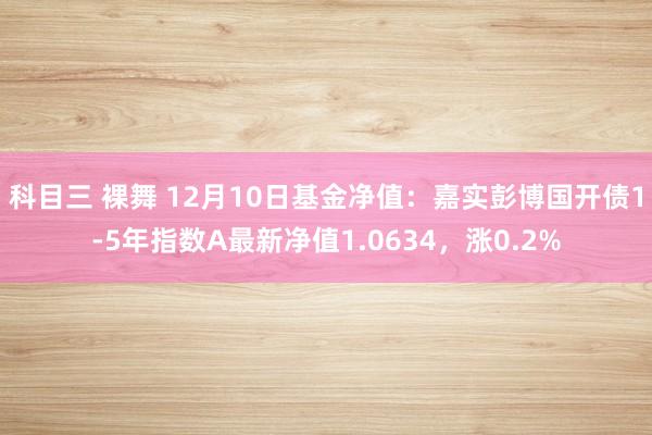 科目三 裸舞 12月10日基金净值：嘉实彭博国开债1-5年指数A最新净值1.0634，涨0.2%