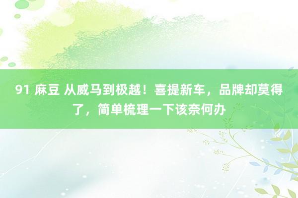 91 麻豆 从威马到极越！喜提新车，品牌却莫得了，简单梳理一下该奈何办