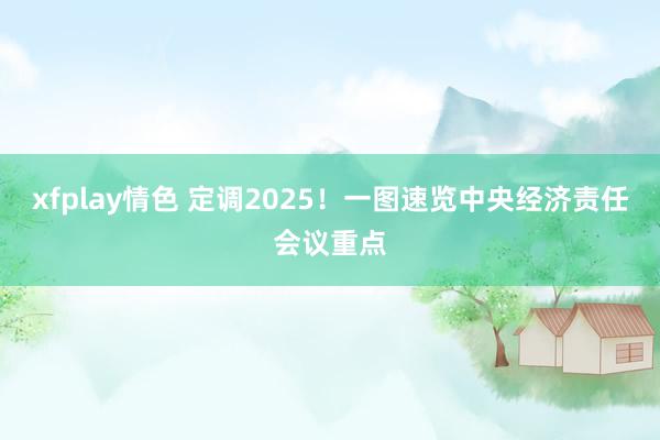 xfplay情色 定调2025！一图速览中央经济责任会议重点