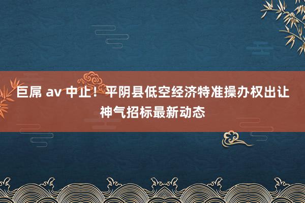 巨屌 av 中止！平阴县低空经济特准操办权出让神气招标最新动态