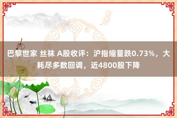 巴黎世家 丝袜 A股收评：沪指缩量跌0.73%，大耗尽多数回调，近4800股下降