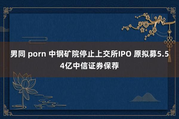 男同 porn 中钢矿院停止上交所IPO 原拟募5.54亿中信证券保荐