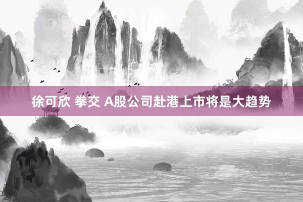 徐可欣 拳交 A股公司赴港上市将是大趋势