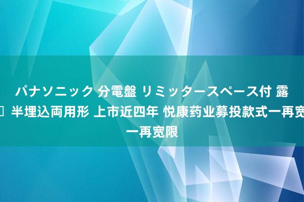 パナソニック 分電盤 リミッタースペース付 露出・半埋込両用形 上市近四年 悦康药业募投款式一再宽限