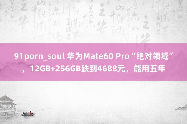 91porn_soul 华为Mate60 Pro“绝对领域”，12GB+256GB跌到4688元，能用五年