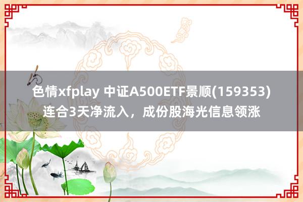 色情xfplay 中证A500ETF景顺(159353)连合3天净流入，成份股海光信息领涨