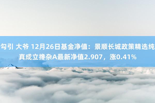 勾引 大爷 12月26日基金净值：景顺长城政策精选纯真成立搀杂A最新净值2.907，涨0.41%