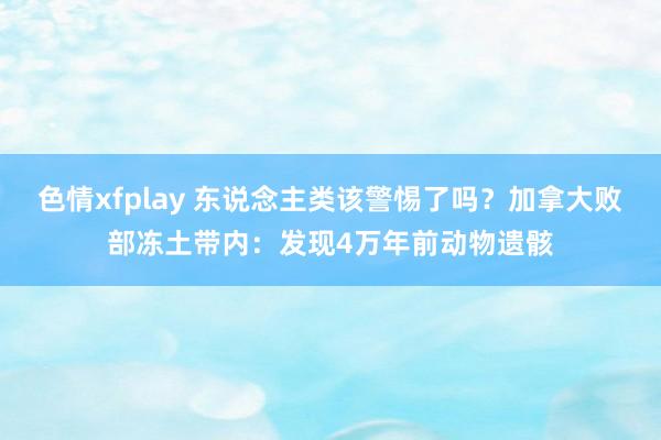 色情xfplay 东说念主类该警惕了吗？加拿大败部冻土带内：发现4万年前动物遗骸