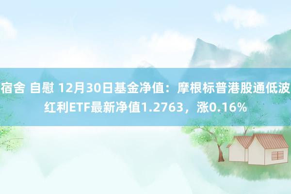 宿舍 自慰 12月30日基金净值：摩根标普港股通低波红利ETF最新净值1.2763，涨0.16%