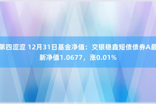 第四涩涩 12月31日基金净值：交银稳鑫短债债券A最新净值1.0677，涨0.01%