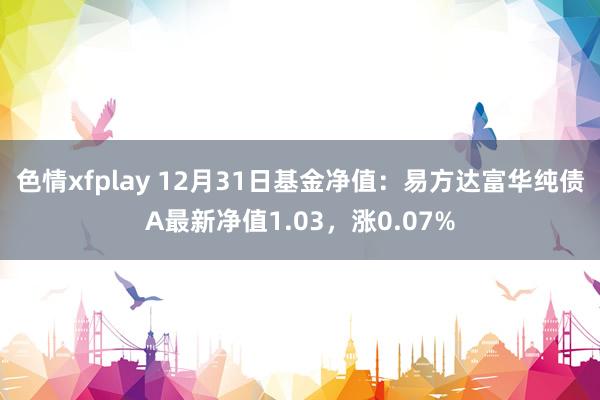 色情xfplay 12月31日基金净值：易方达富华纯债A最新净值1.03，涨0.07%