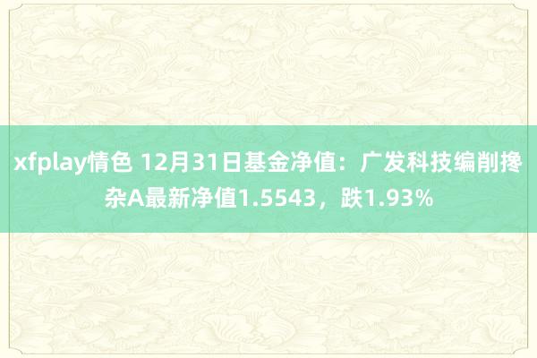 xfplay情色 12月31日基金净值：广发科技编削搀杂A最新净值1.5543，跌1.93%