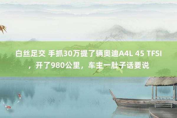 白丝足交 手抓30万提了辆奥迪A4L 45 TFSI，开了980公里，车主一肚子话要说