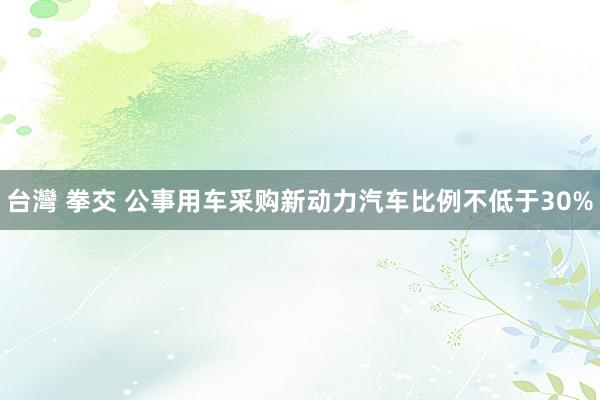 台灣 拳交 公事用车采购新动力汽车比例不低于30%