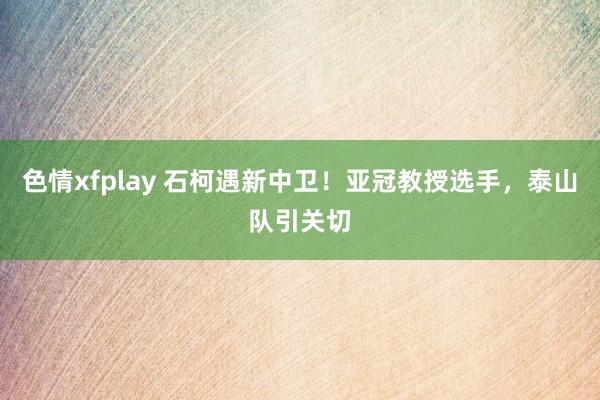 色情xfplay 石柯遇新中卫！亚冠教授选手，泰山队引关切