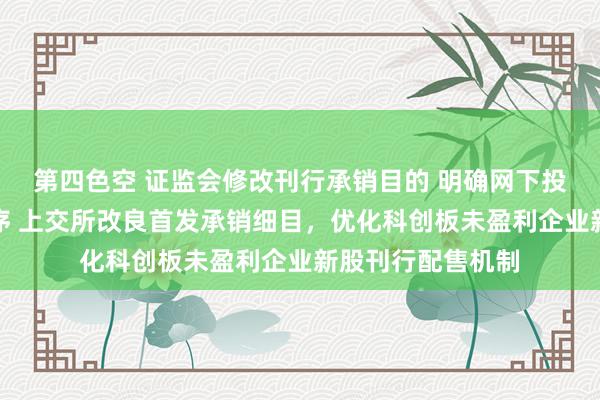 第四色空 证监会修改刊行承销目的 明确网下投资者分类配售秩序 上交所改良首发承销细目，优化科创板未盈利企业新股刊行配售机制